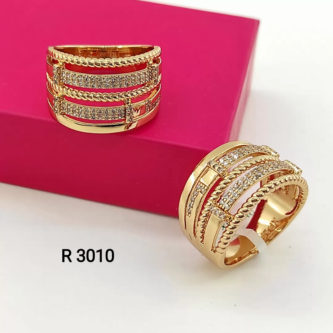 R 3010